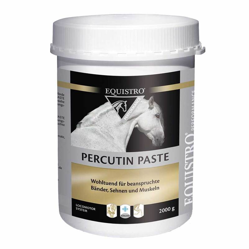 🐴 Equistro Percutin Paste