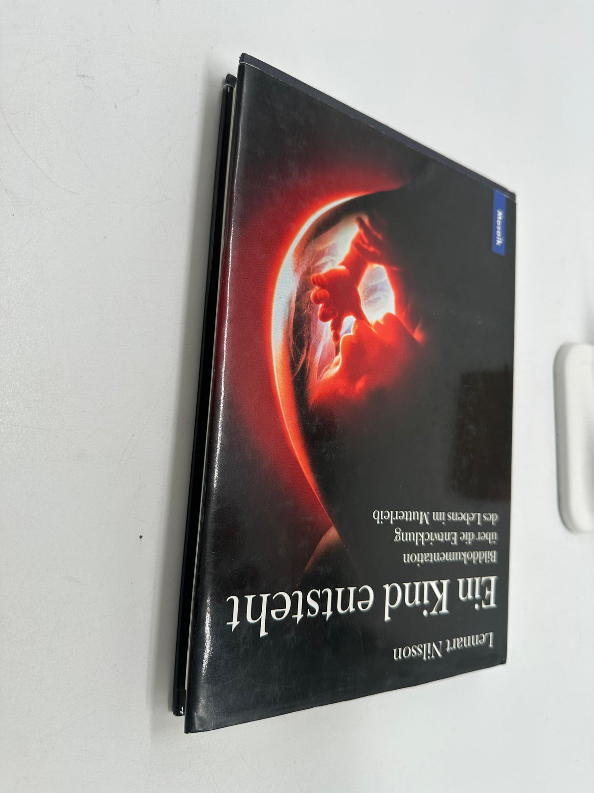 🤰 Ein Kind entsteht (Lennart Nilsson) – Bilddokumentation