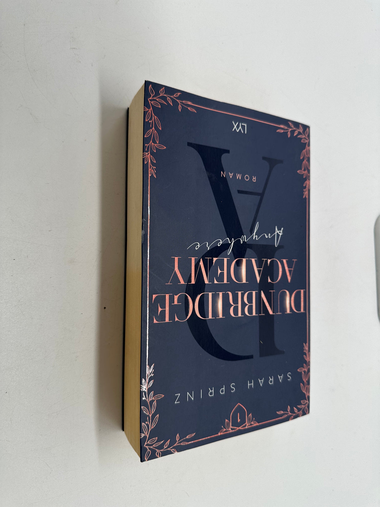 ❤️🎓 Dunbridge Academy 1: Anywhere (LYX)