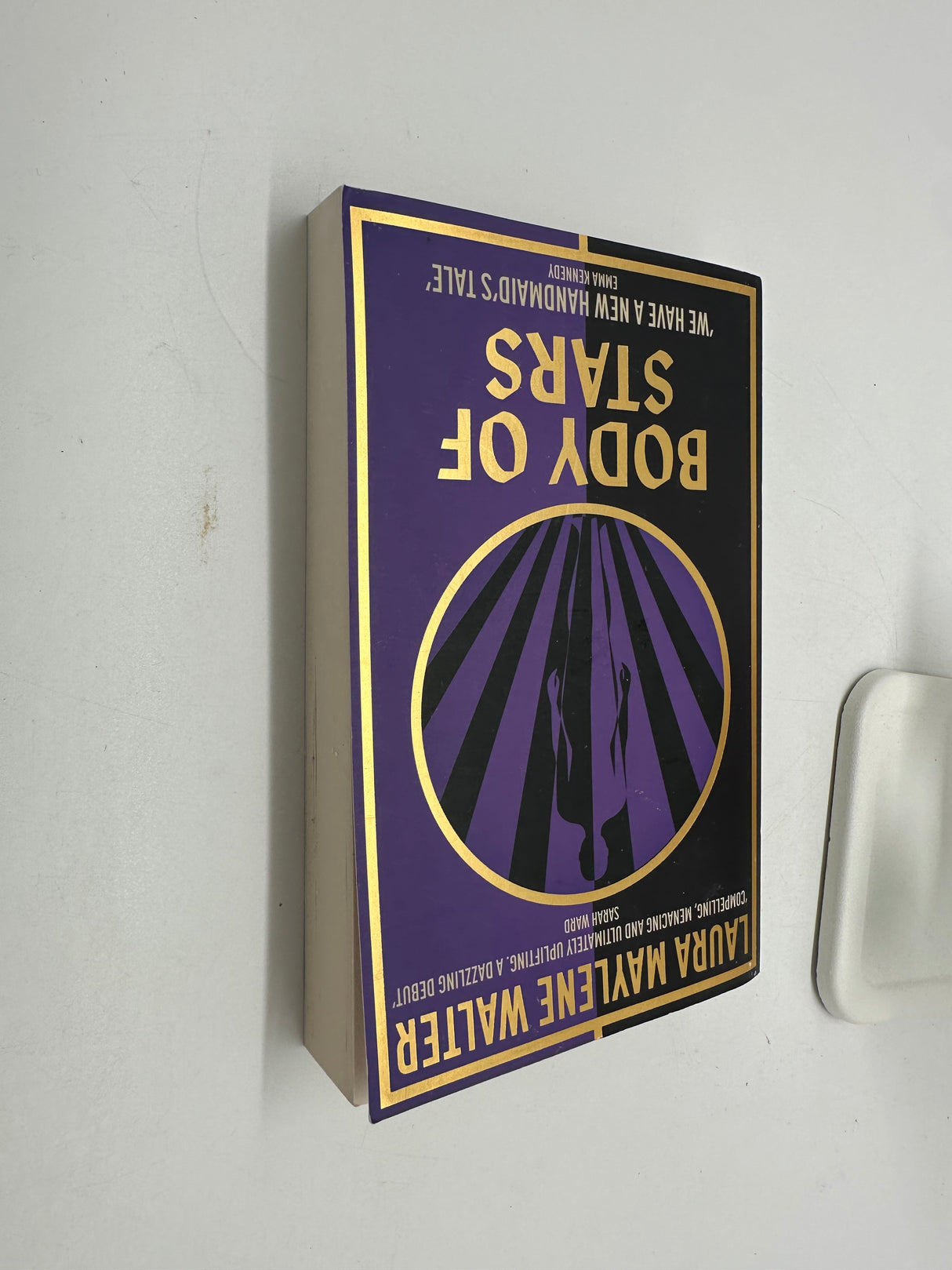 📖 Body of Stars: Searing and thought-provoking – the most addictive novel you'll read all year (Laura Maylene Walter, Hodder & Stoughton)
