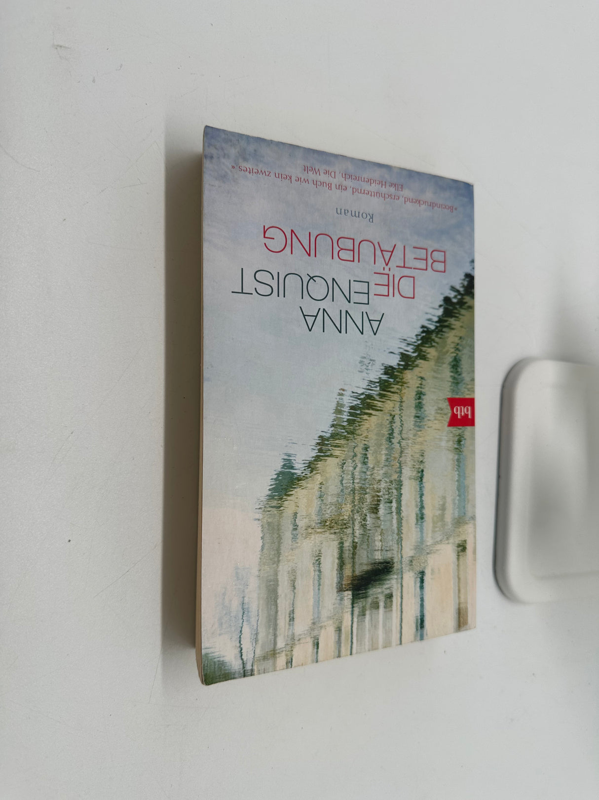 📖 Die Betäubung – Roman (Anna Enquist, btb)