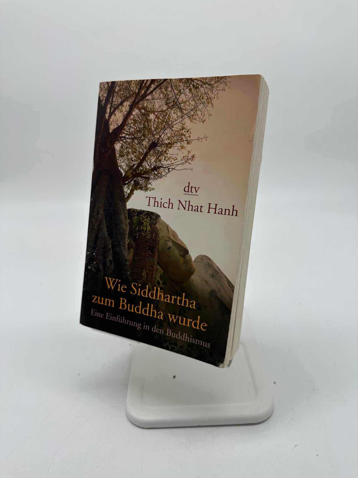 💡 Wie Siddhartha zum Buddha wurde – Eine Einführung in den Buddhismus (Thich Nhat Hanh, dtv)