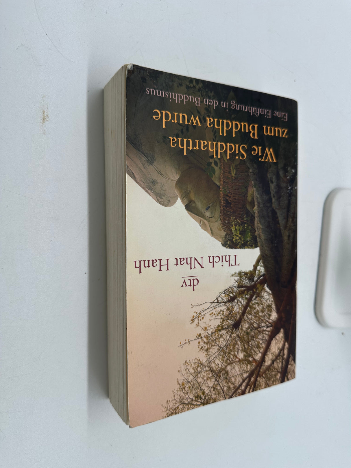 💡 Wie Siddhartha zum Buddha wurde – Eine Einführung in den Buddhismus (Thich Nhat Hanh, dtv)