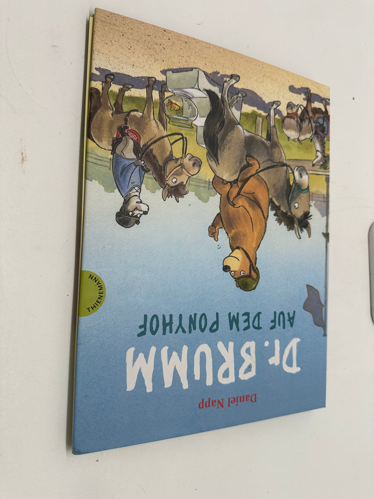 📚 Dr. Brumm auf dem Ponyhof (Daniel Napp, Thienemann)