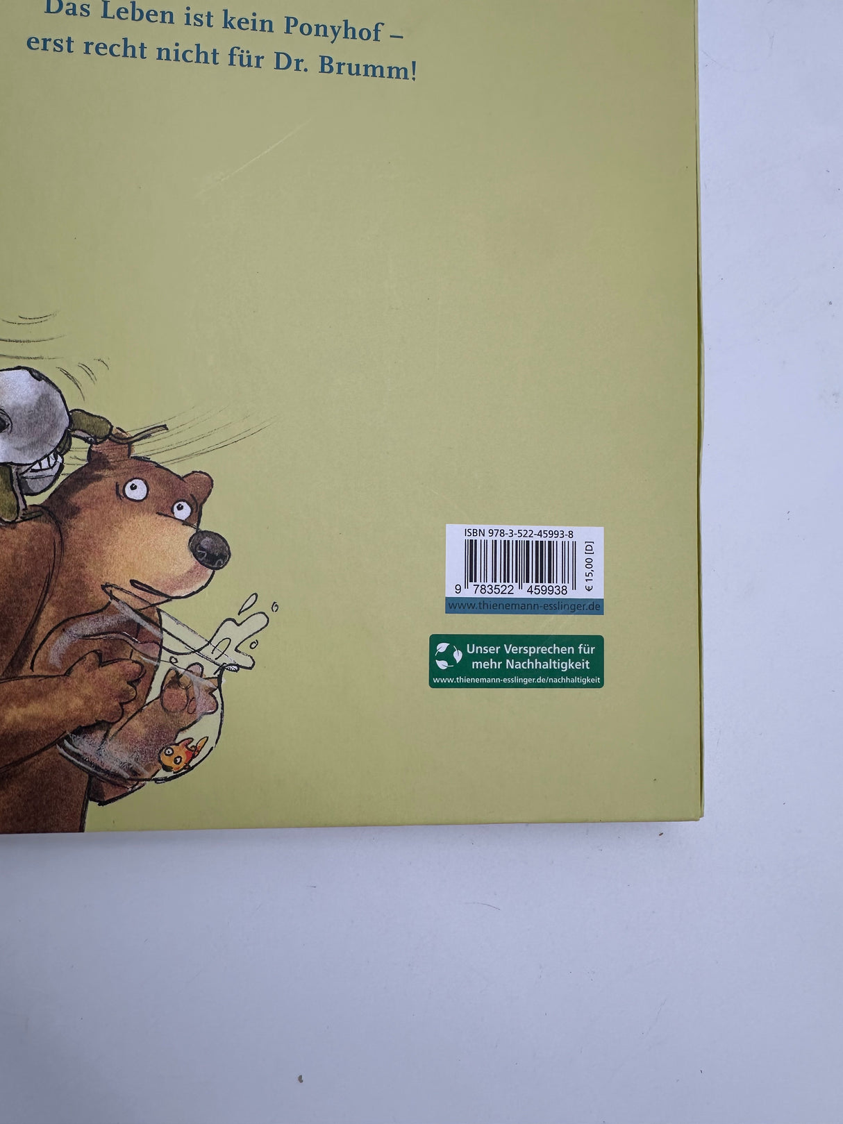 📚 Dr. Brumm auf dem Ponyhof (Daniel Napp, Thienemann)