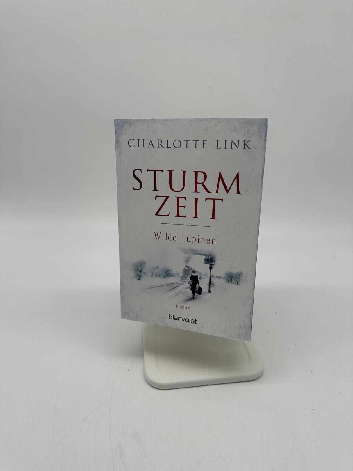 📖 Sturmzeit – Wilde Lupinen (Band 2)
