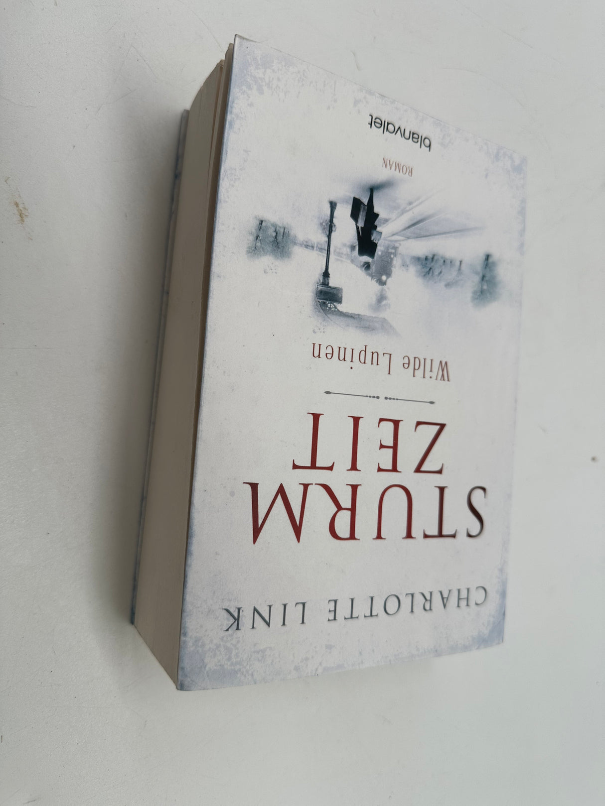 📖 Sturmzeit – Wilde Lupinen (Band 2)