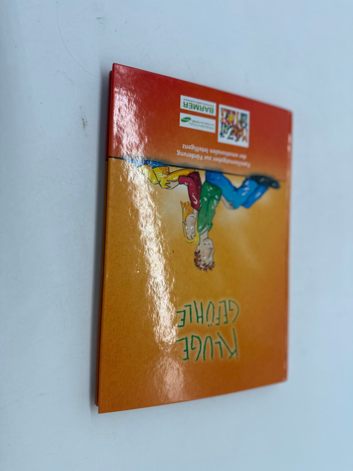 💡 Kluge Gefühle: Familienratgeber zur Förderung der emotionalen Intelligenz