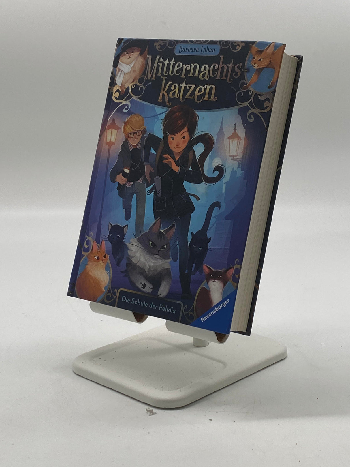 🧝♂️ Mitternachtskatzen, Band 1: Die Schule der Felidix