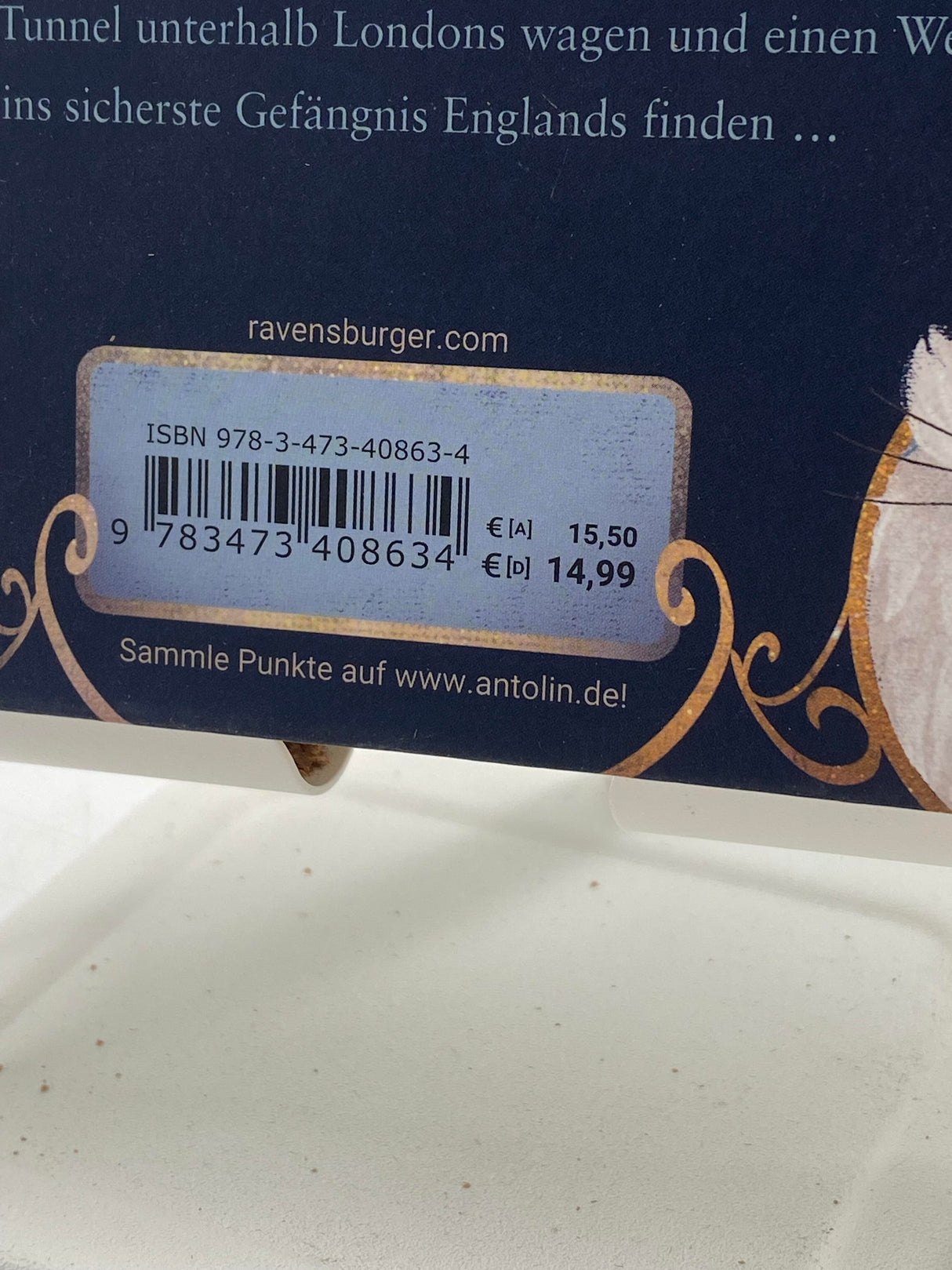 🧝♂️ Mitternachtskatzen, Band 1: Die Schule der Felidix