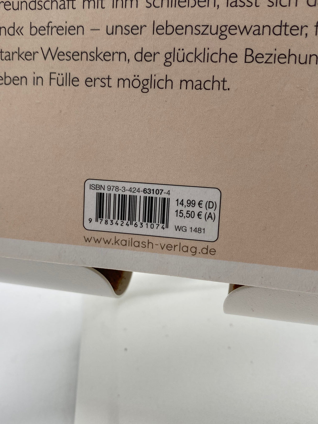 📚 Das Kind in dir muss Heimat finden