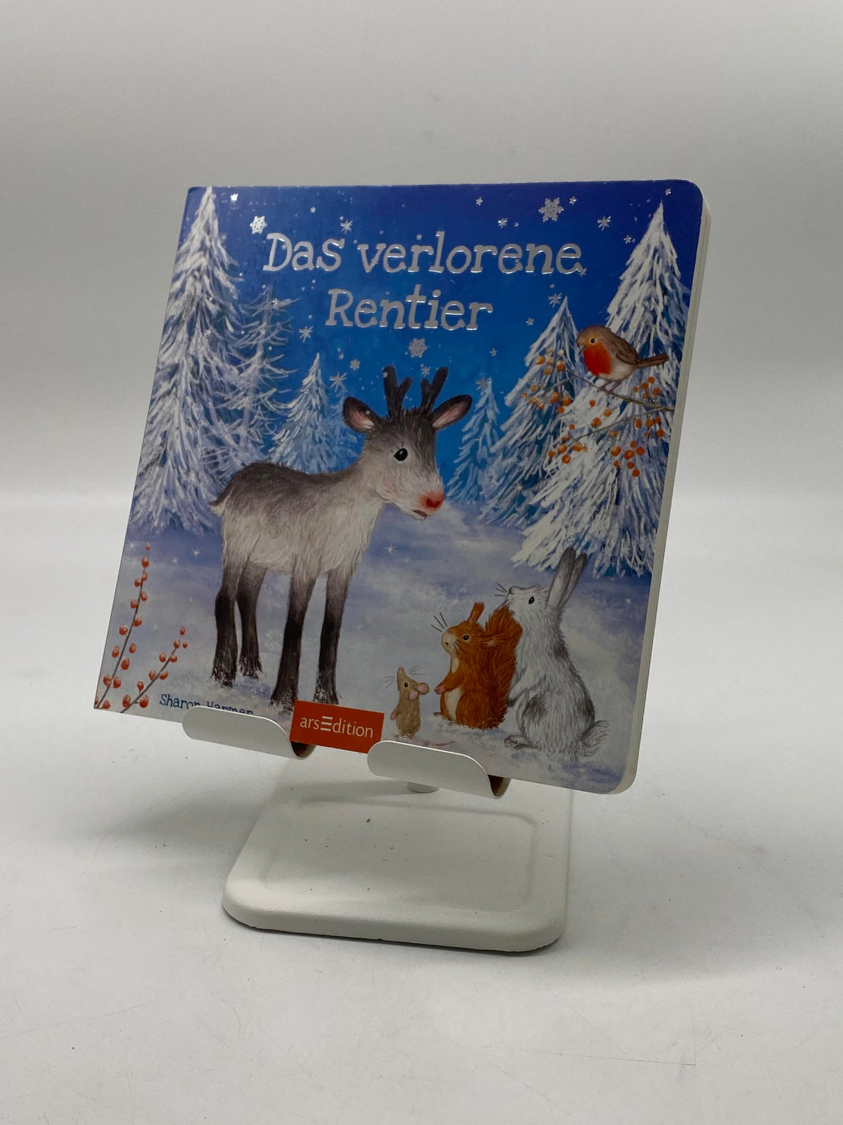 📚 Das verlorene Rentier