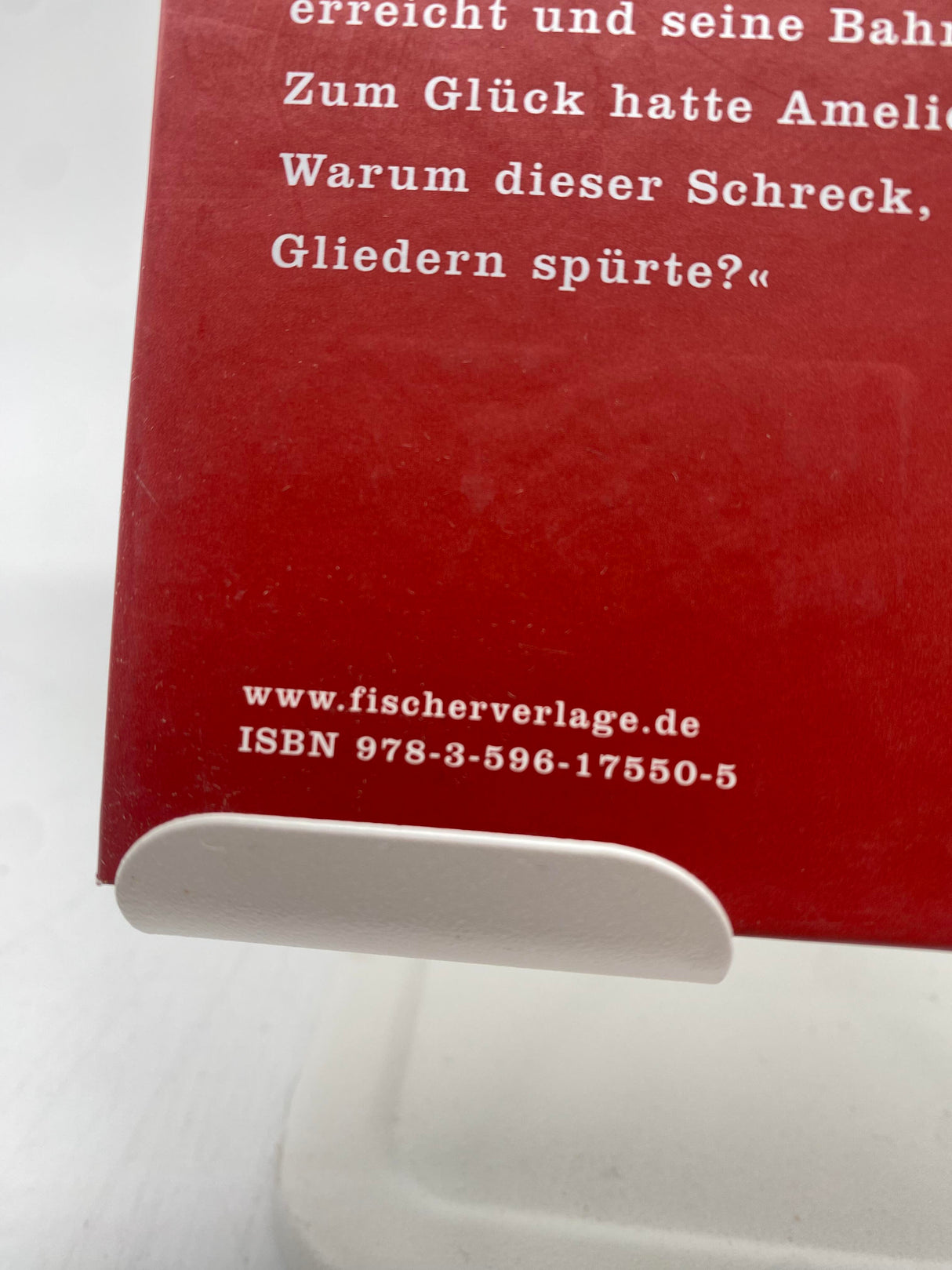 📚 Eine blaßblaue Frauenschrift