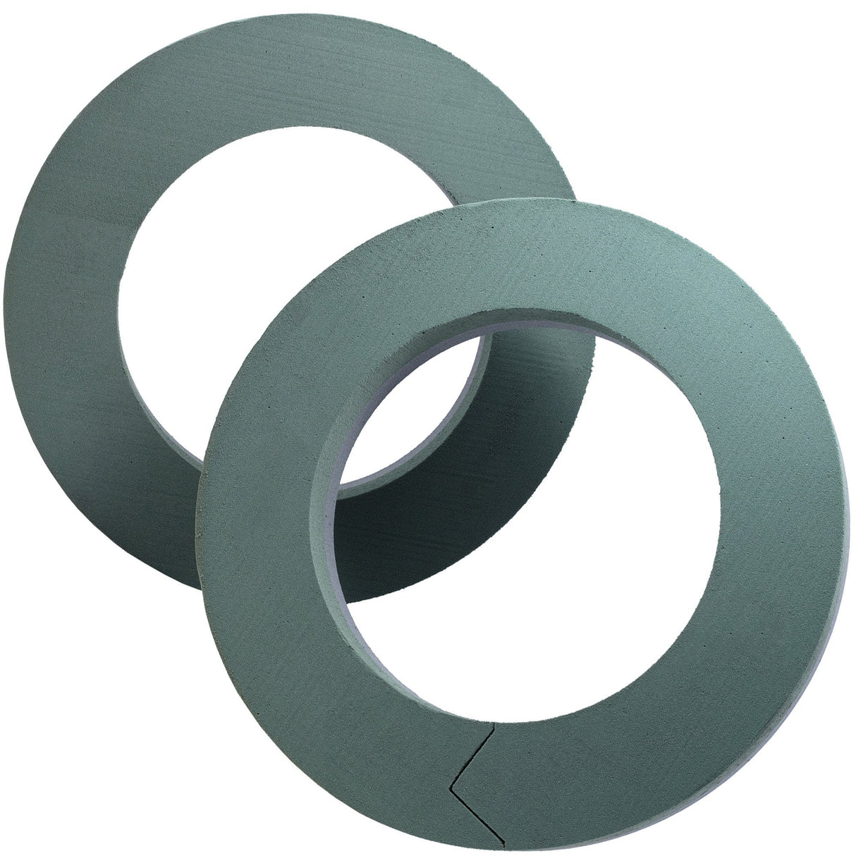 🌸 OASIS Schaumgummi FOAM FRAMES® Ring - 2 St.