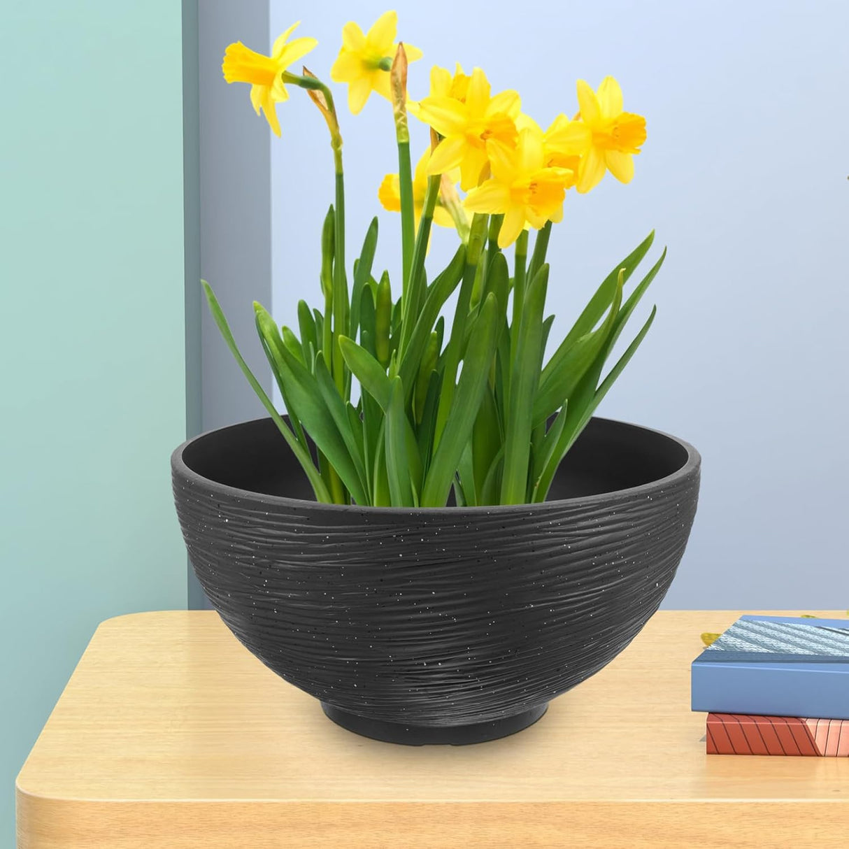 💧 Toddmomy Hydroponische Pflanzschale Schwarz