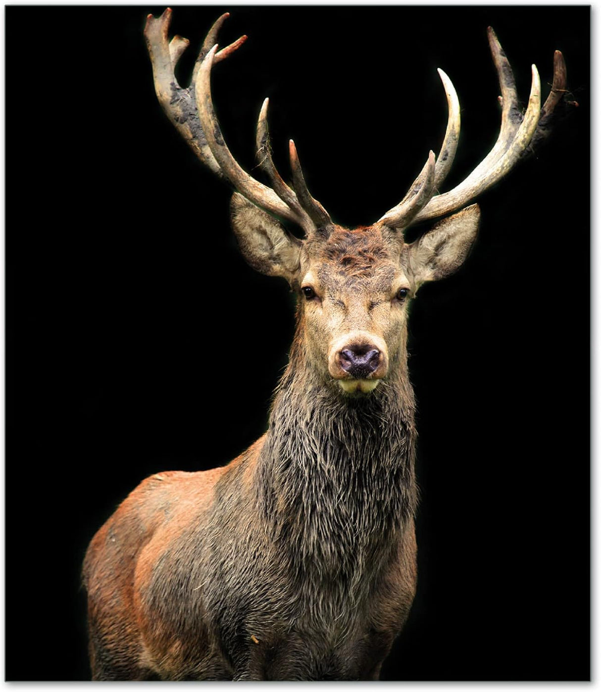 🍂 Wallario Herdabdeckplatte aus Glas