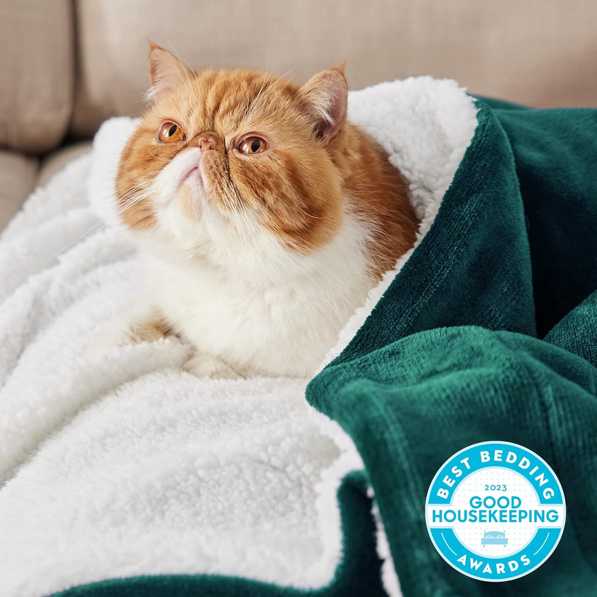 🛏️ BEDSURE Sherpa Kuscheldecke 220x240cm – B-Ware!