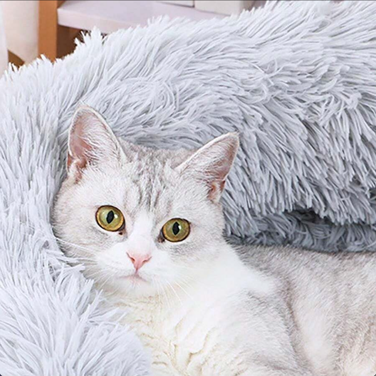 🐾 MOMOPAL XXL Haustierbett für Hunde & Katzen - B-Ware