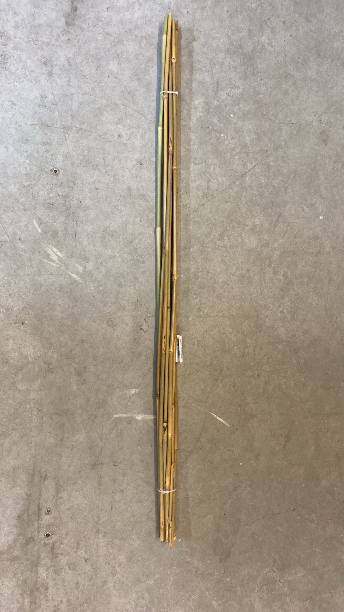 🌱 10x Bambus Pflanzstab 105 cm – Rankhilfe Tonkinstäbe, Natur, neu