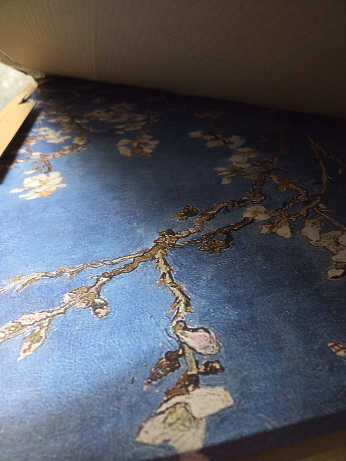 🖼️ Wality Bild "Mandelblüte" Van Gogh