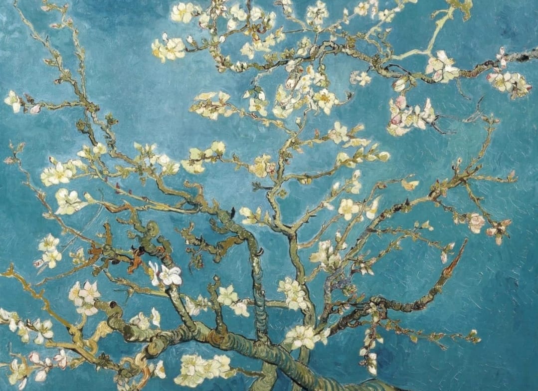 🖼️ Wality Bild "Mandelblüte" Van Gogh