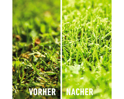 🌱 COMPO Moos-Nein-Danke 7,5 kg – B-Ware