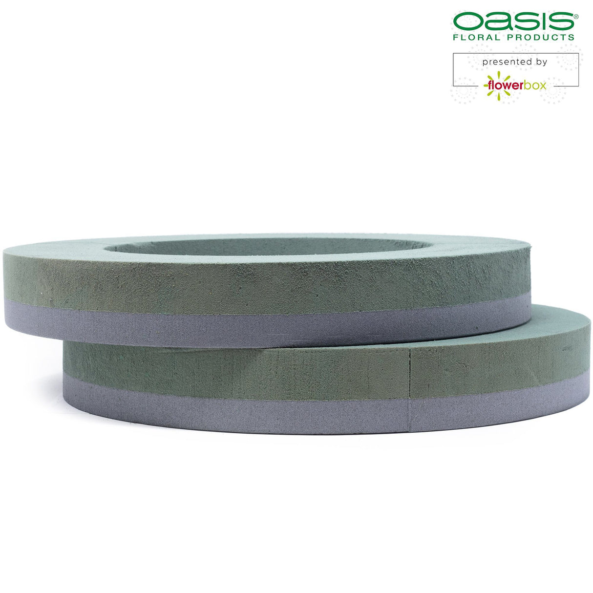 🌸 OASIS Schaumgummi FOAM FRAMES® Ring - 2 St.