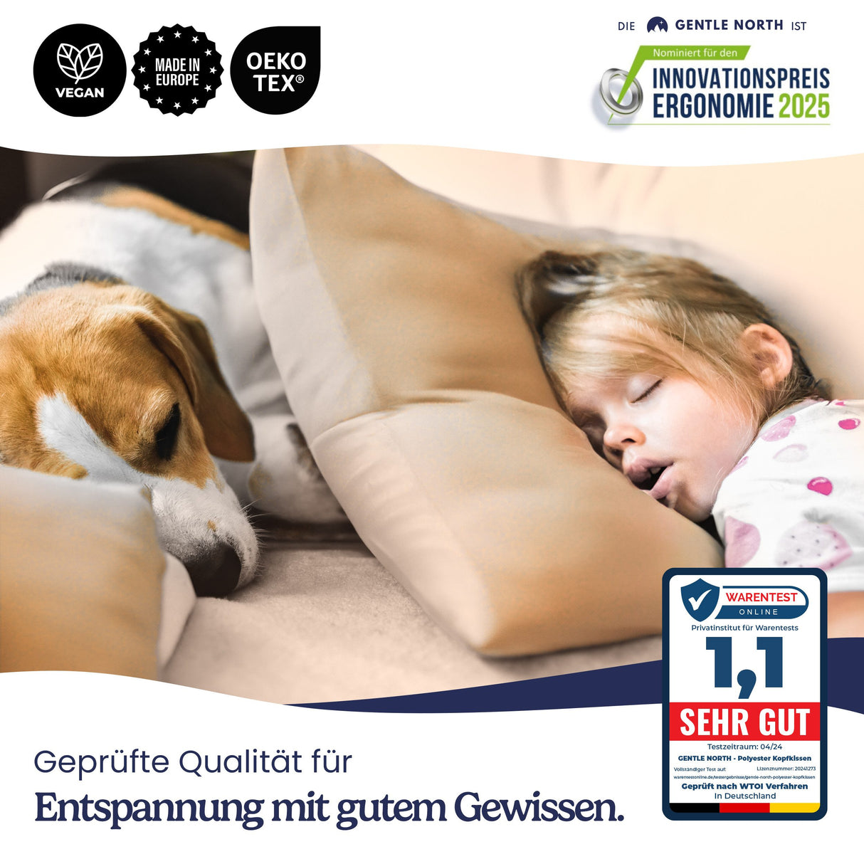 🌟 Gentle North Microfaserkissen 2er Set – 40x40 cm 🌟