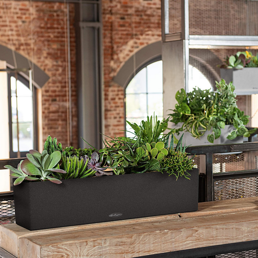 🌿 BALCONERA Stone 80 graphitschwarz