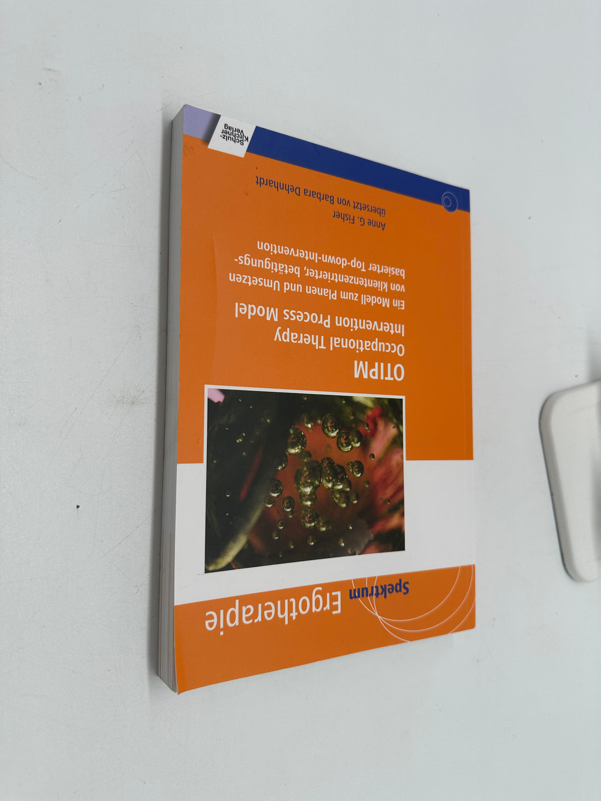 🧑‍⚕️ OTIPM – Occupational Therapy Intervention Process Model (dt.)