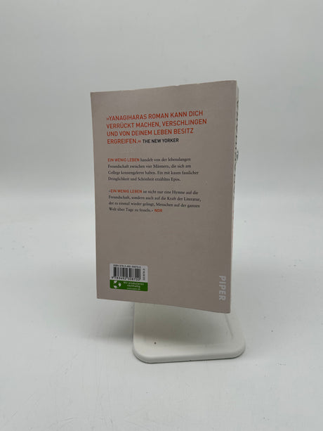 📖 Ein wenig Leben: Roman | Der internationale Bestseller und Booktok-Hit