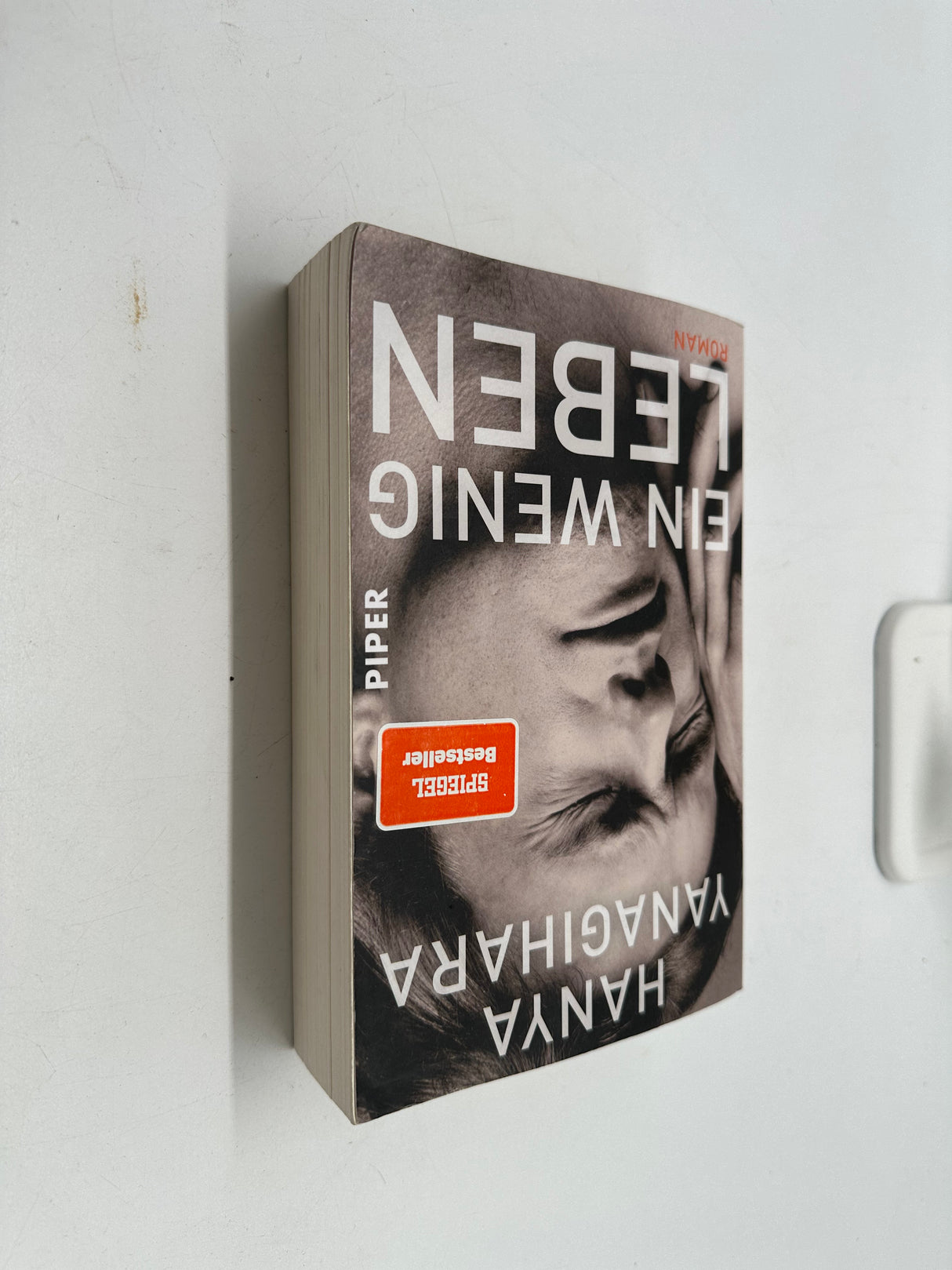 📖 Ein wenig Leben: Roman | Der internationale Bestseller und Booktok-Hit