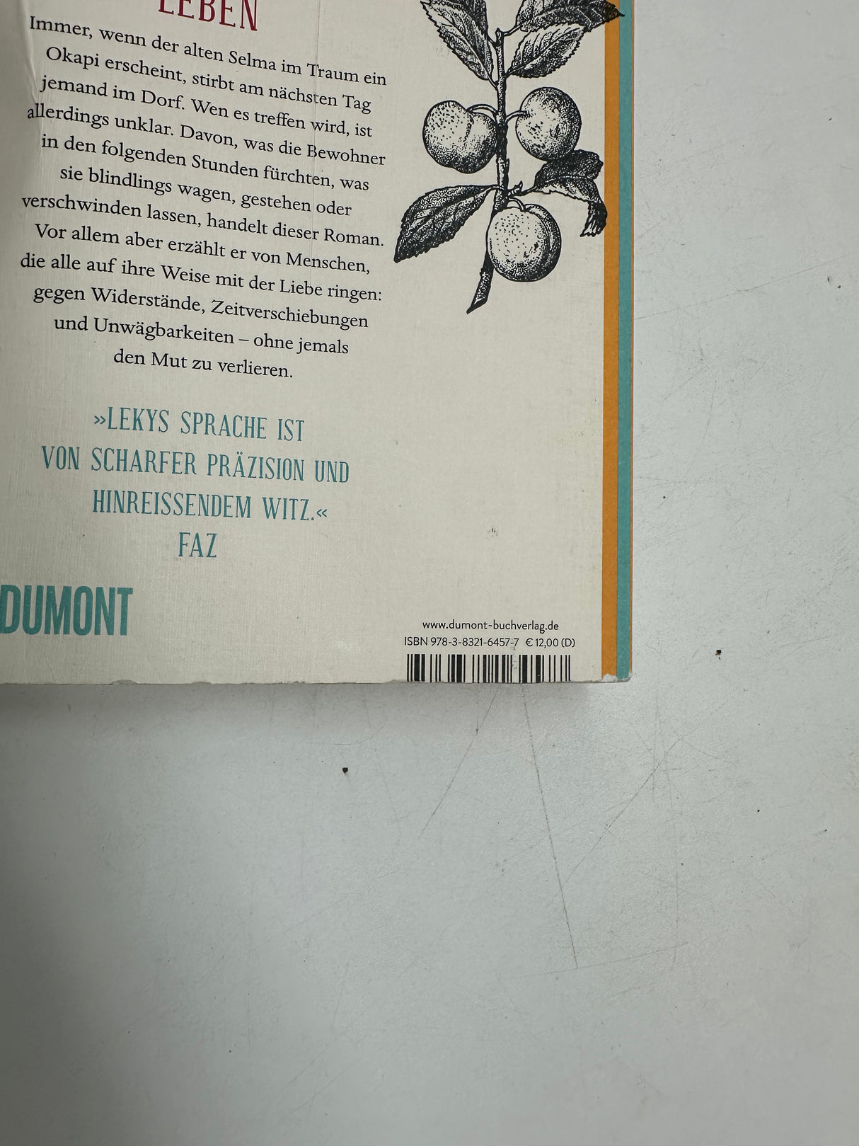 📚 Was man von hier aus sehen kann: Roman