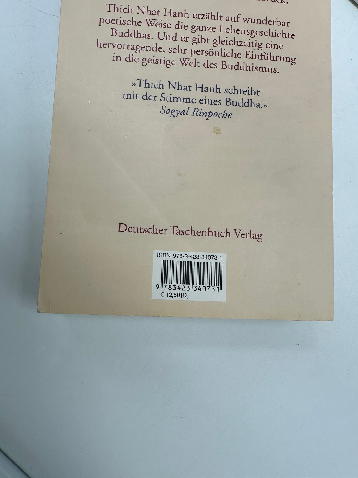 💡 Wie Siddhartha zum Buddha wurde – Eine Einführung in den Buddhismus (Thich Nhat Hanh, dtv)