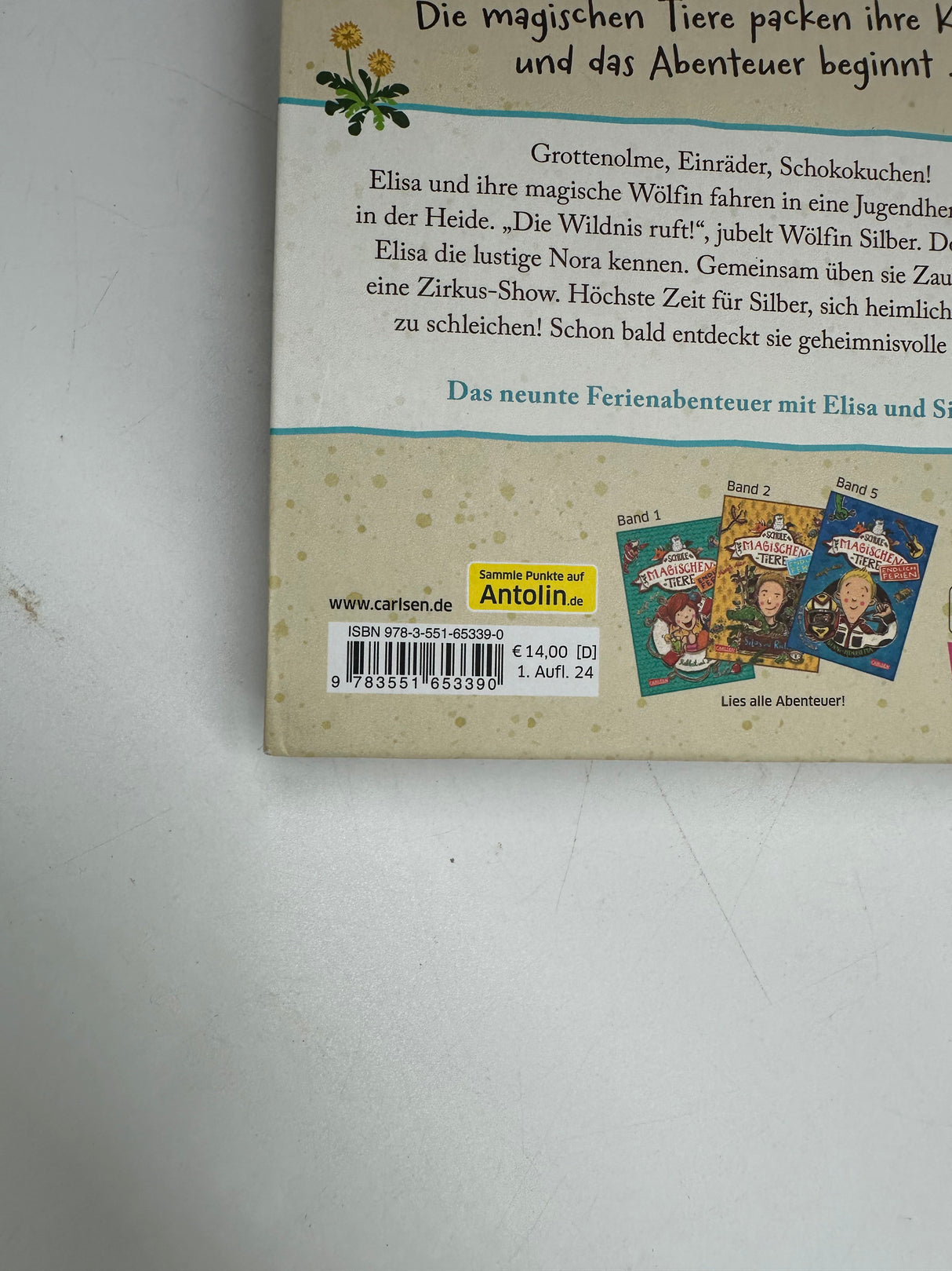 🧝‍♂️ Die Schule der magischen Tiere – Endlich Ferien 9: Elisa & Silber