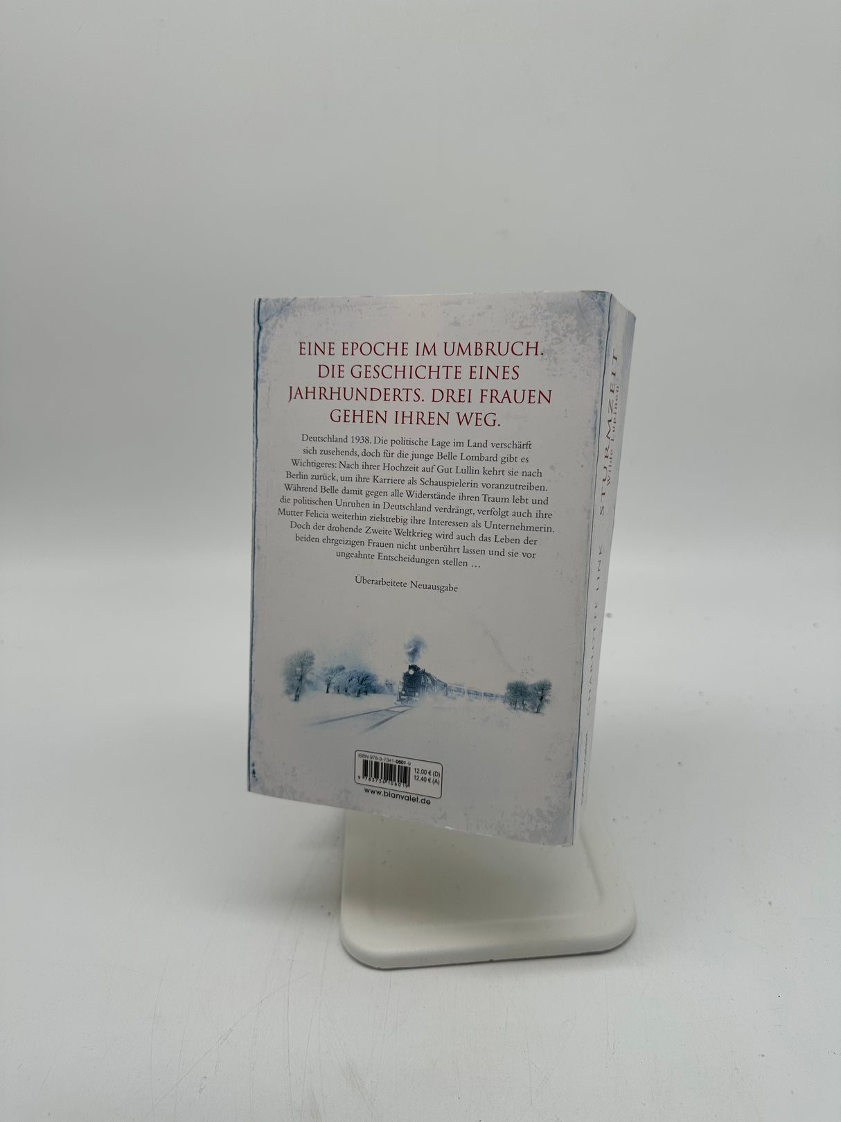 📖 Sturmzeit – Wilde Lupinen (Band 2)