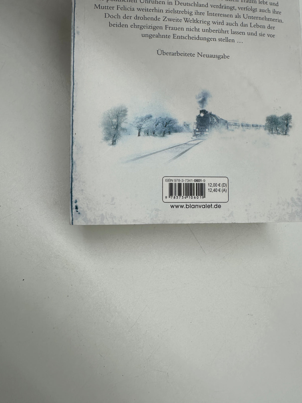 📖 Sturmzeit – Wilde Lupinen (Band 2)