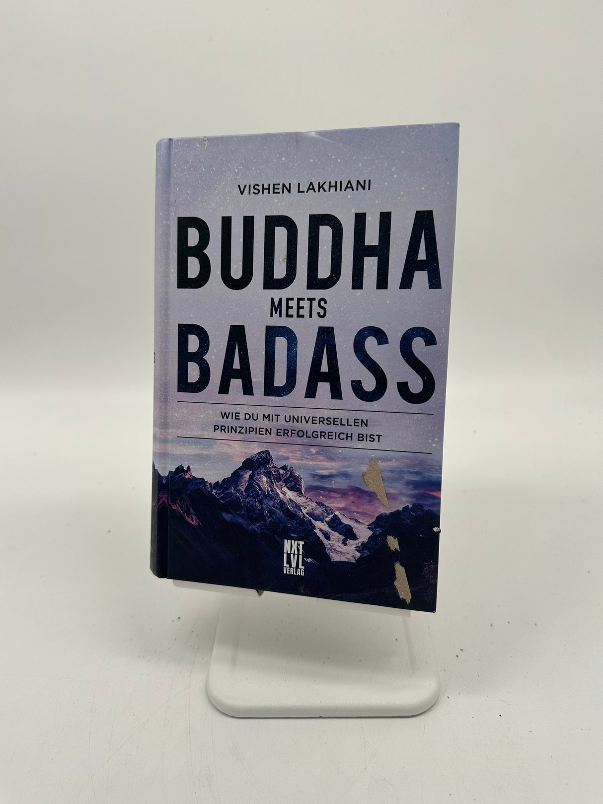 🧠 Buddha meets Badass: Wie du mit universellen Prinzipien erfolgreich bist