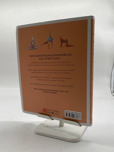 💡 Stretching: Die Anatomie verstehen