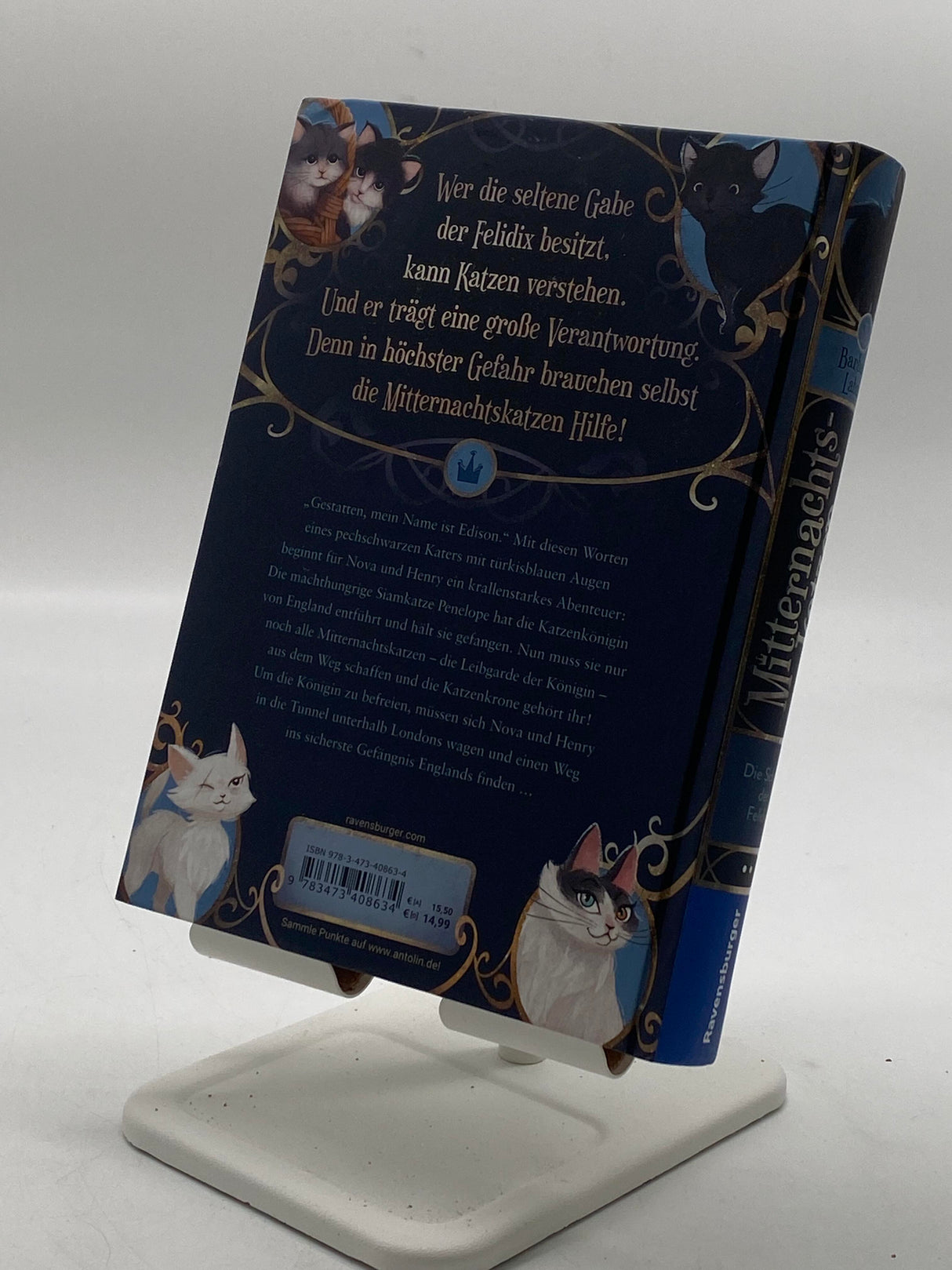 🧝‍♂️ Mitternachtskatzen, Band 1: Die Schule der Felidix