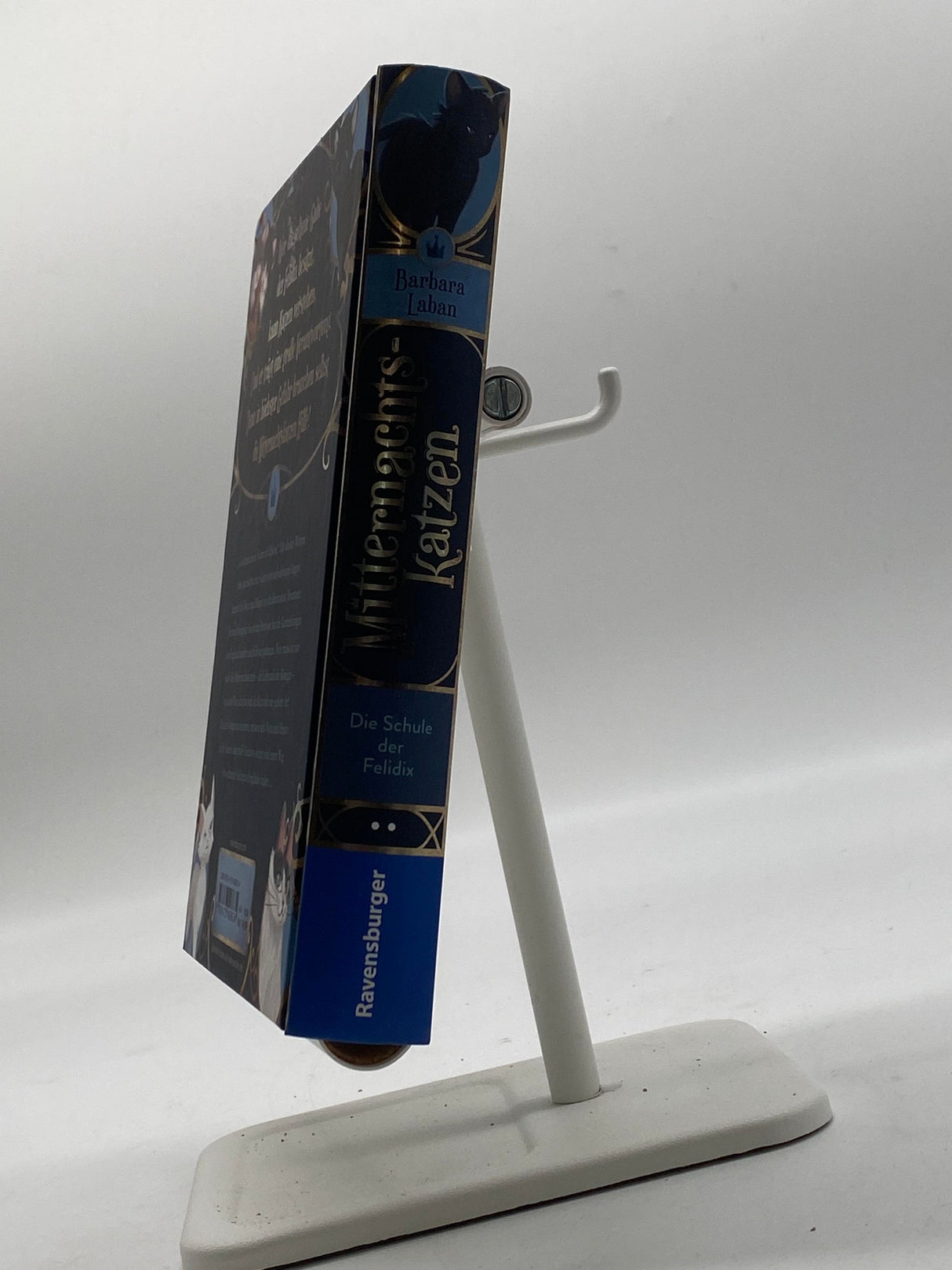 🧝‍♂️ Mitternachtskatzen, Band 1: Die Schule der Felidix