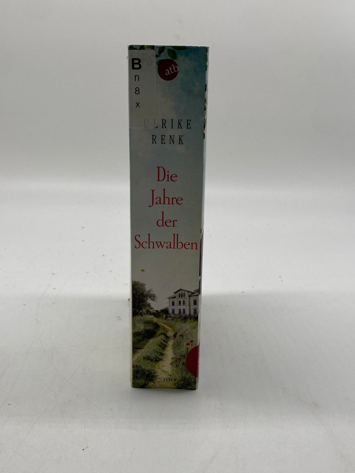 📚 Die Jahre der Schwalben