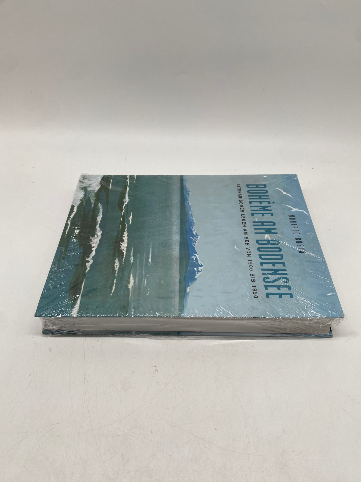 📚 Bohème am Bodensee – Literarisches Leben von 1900-1950