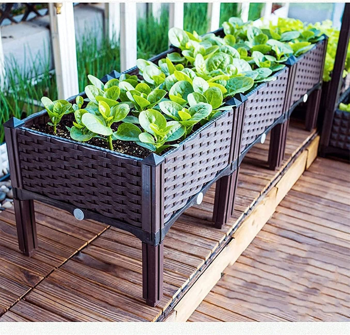 🌱 GCSQF Hochbeet mit 3 Pflanzgefäßen