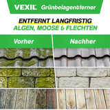 🌿 VEXIL® Grünbelagentferner 1L