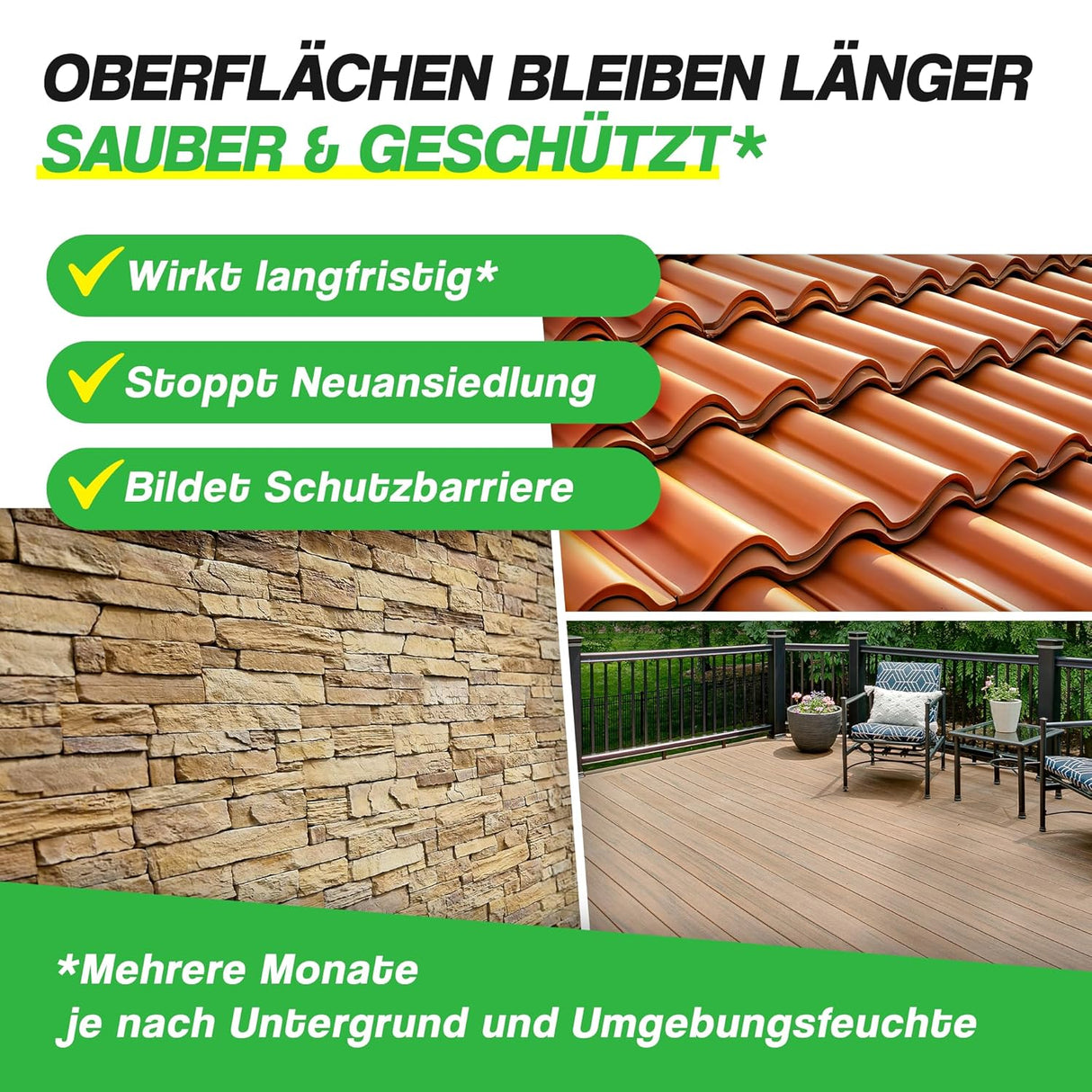 🌿 VEXIL® Grünbelagentferner 1L
