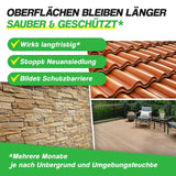 🌿 VEXIL® Grünbelagentferner 1L