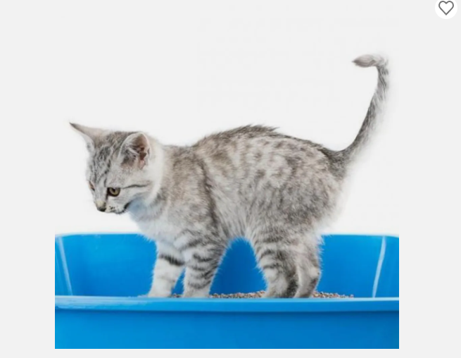 Katkor Spezial-Katzenstreu – 2er Pack