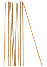 🌱 10x Bambus Pflanzstab 105 cm – Rankhilfe Tonkinstäbe, Natur, neu