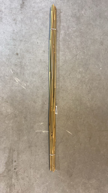🌱 10x Bambus Pflanzstab 105 cm – Rankhilfe Tonkinstäbe, Natur, neu